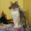 Отзыв от Ираида Майорова
